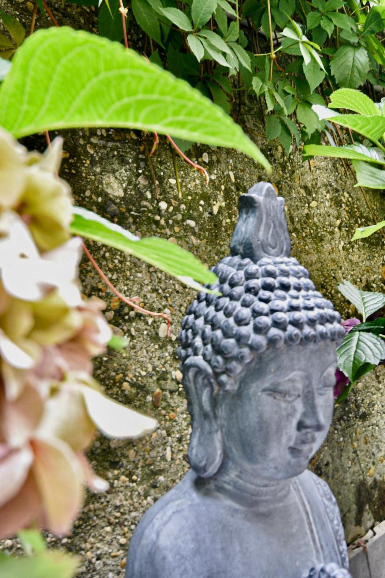 Buda Bliss Garden Budapeste Exterior foto